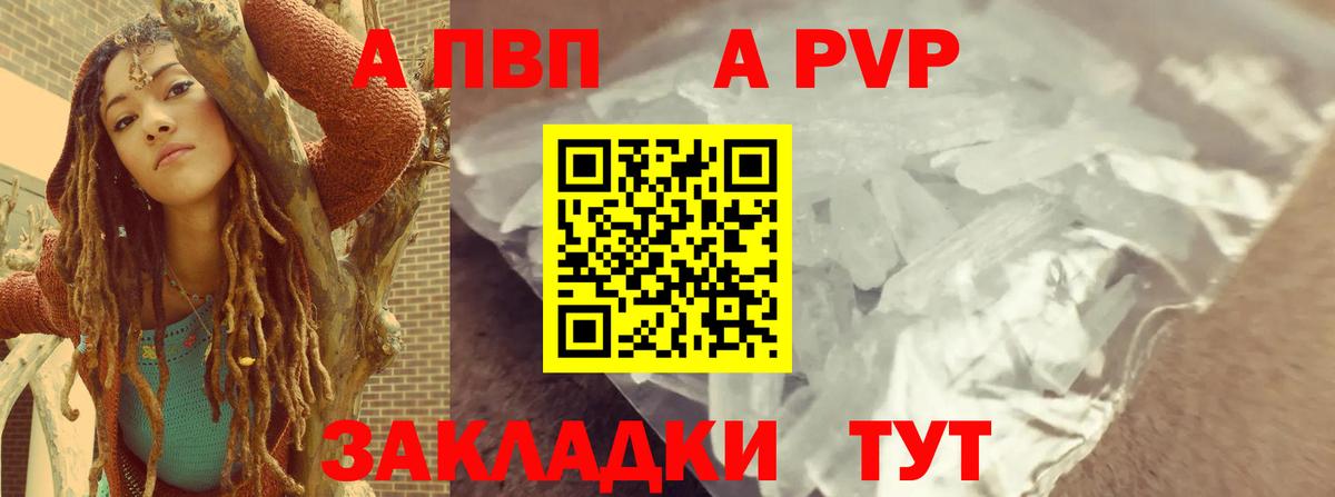 A PVP СК КРИС Волгодонск