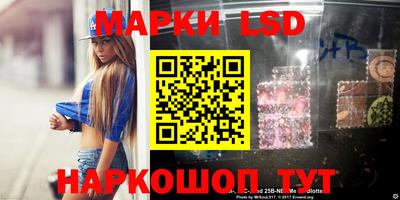 индика Беслан