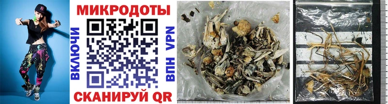где продают   Волгодонск  Галлюциногенные грибы Psilocybine cubensis 