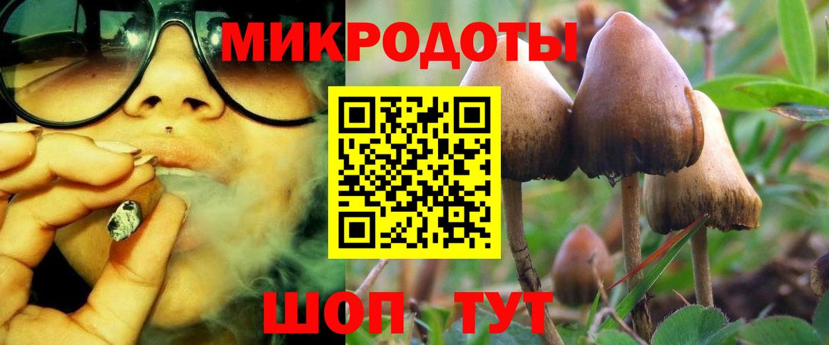 Волгодонск  Галлюциногенные грибы Magic Shrooms  Вход с VPN  Псилоцибиновые грибы прущие грибы 